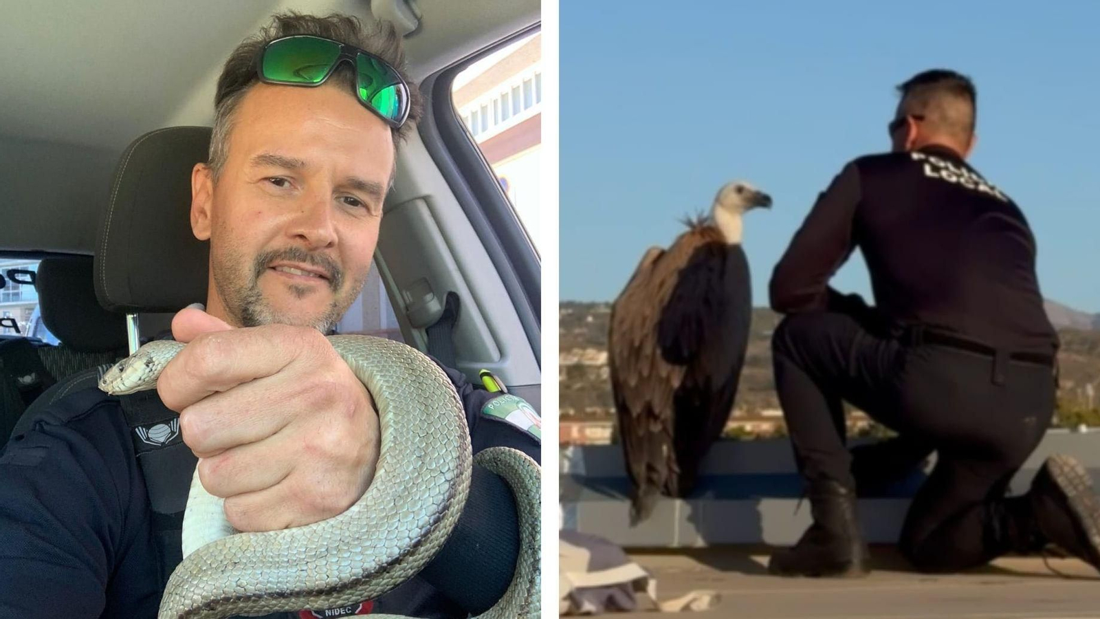 Imagen de Diego García, el policía de Pulianas que capturó al buitre