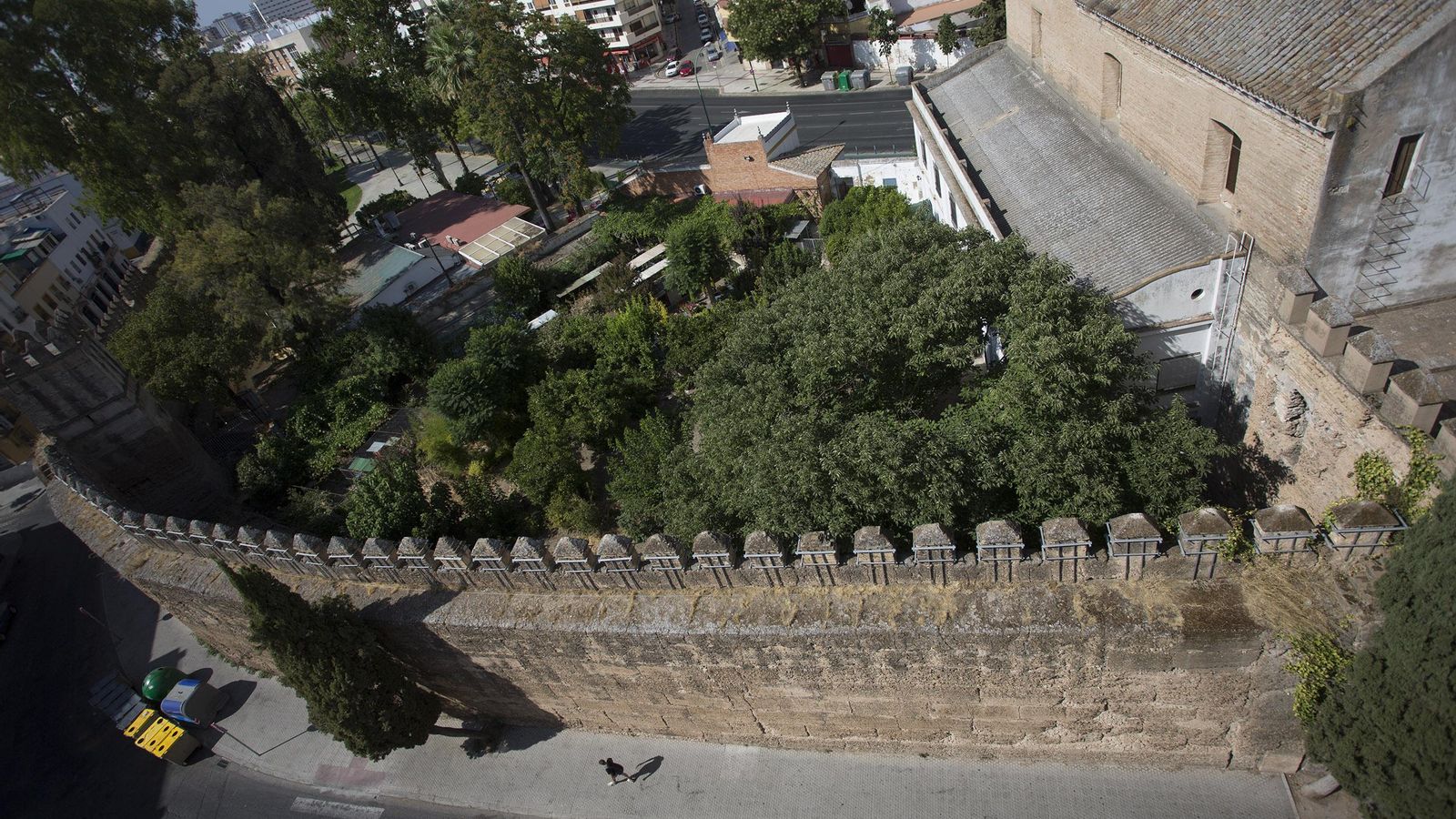 La muralla almohade de la Macarena junto a la Puerta de Córdoba.