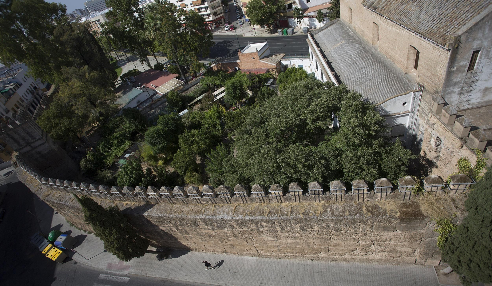 La muralla almohade de la Macarena junto a la Puerta de Córdoba.