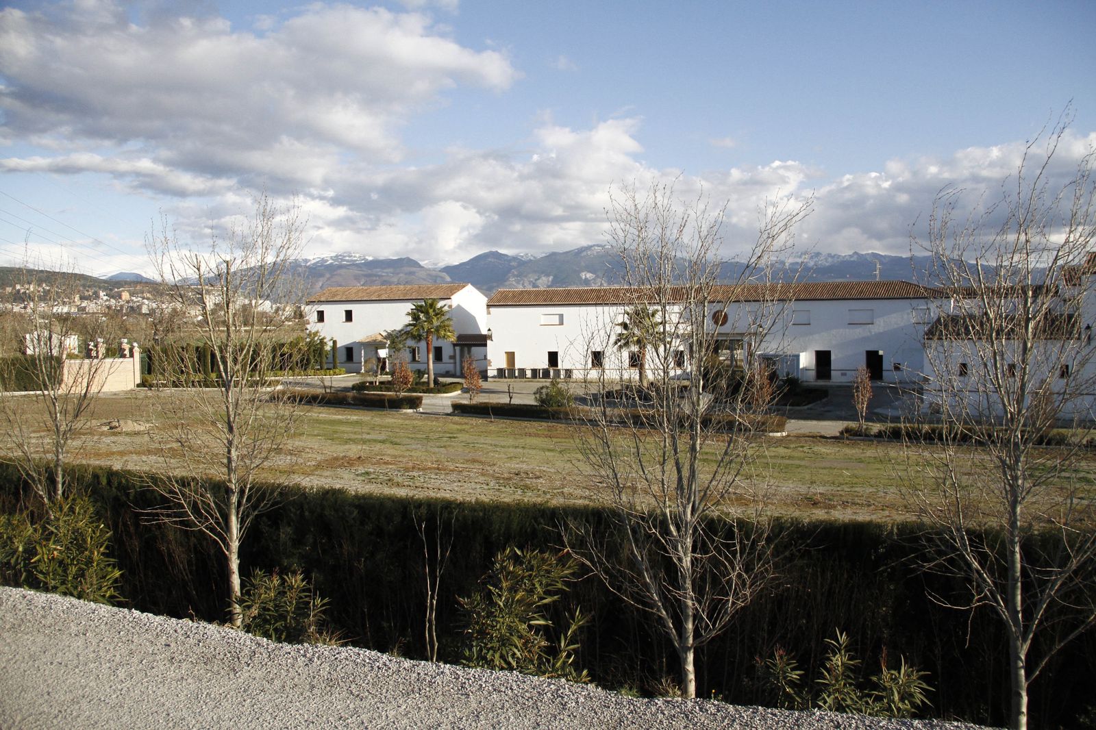 Los terrenos, situados frente a la fábrica de Puleva, tienen un tamaño de 36.000 metros cuadrados.