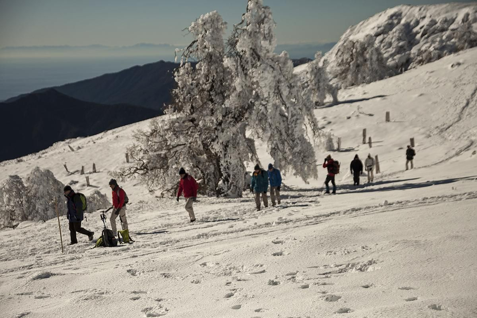Excursionistas en la Sierra de las Nieves.