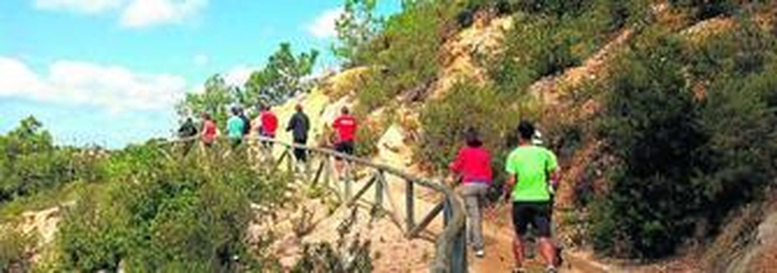 1. La provincia está llena de senderos donde practicar ejercicio . 2. La Vía Verde de la Sierra, entre Sevilla y Cádiz, es muy frecuentada por ciclistas.  3. La Cañada de los Pájaros está a las puertas de Doñana.  4. Un animal de la Reserva de El Castillo de las Guardas.