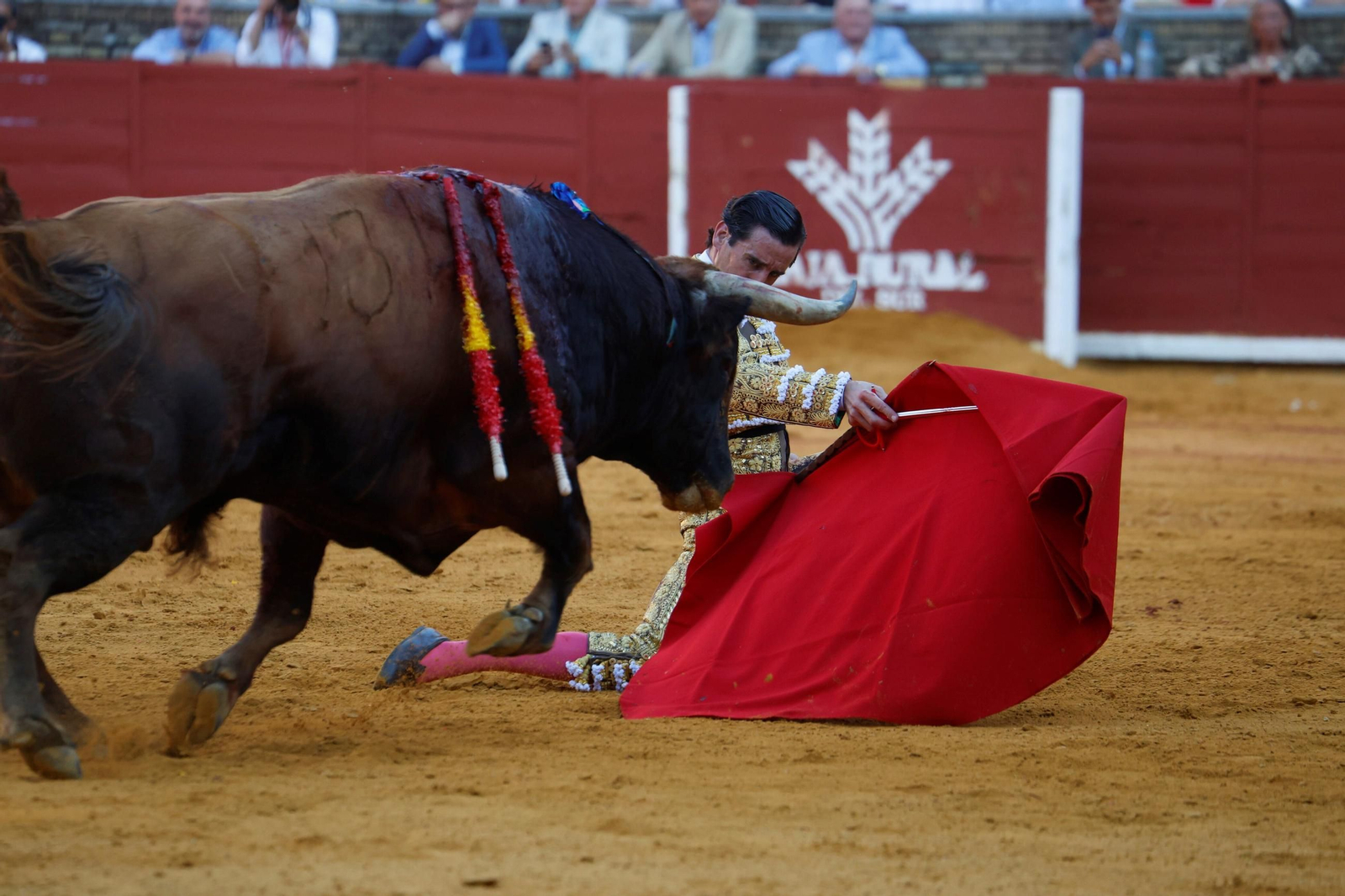 Manuel Román, Juan Ortega y Roca Rey, en la plaza de toros de Córdoba