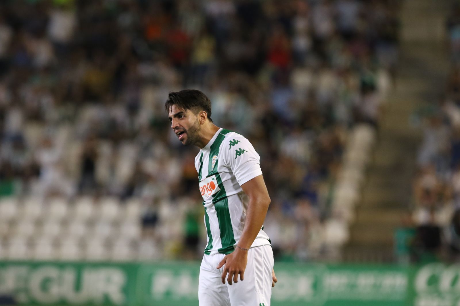 Las imágenes del Córdoba-Zaragoza