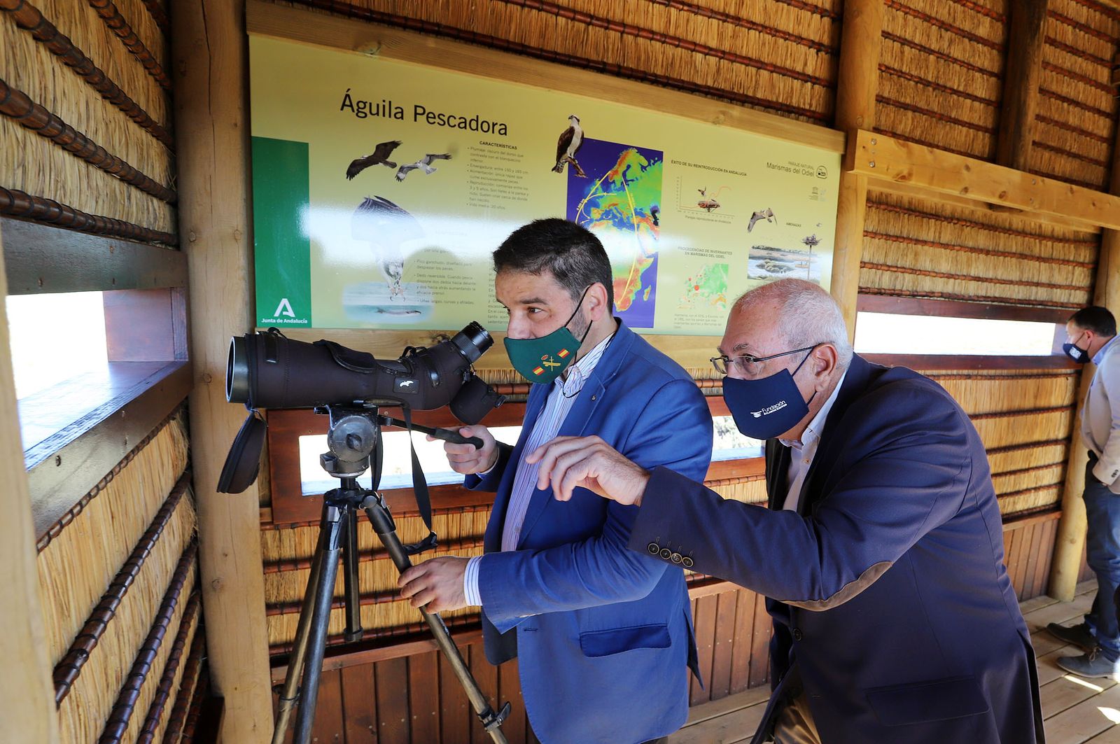Inauguración del nuevo observatorio del Águila Pescadora en Marismas del Odiel