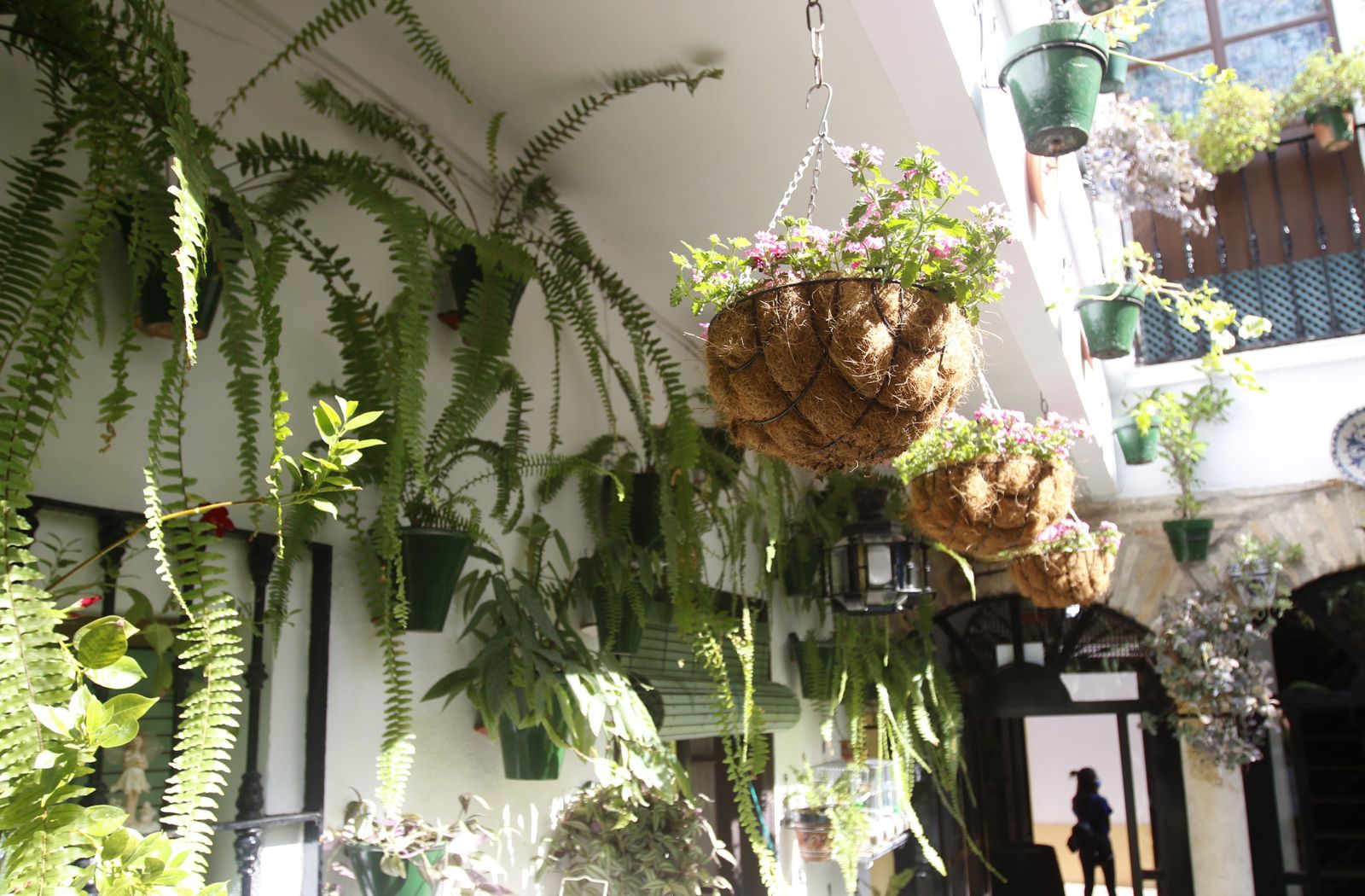 Las fotografías de los Patios de Córdoba en otoño