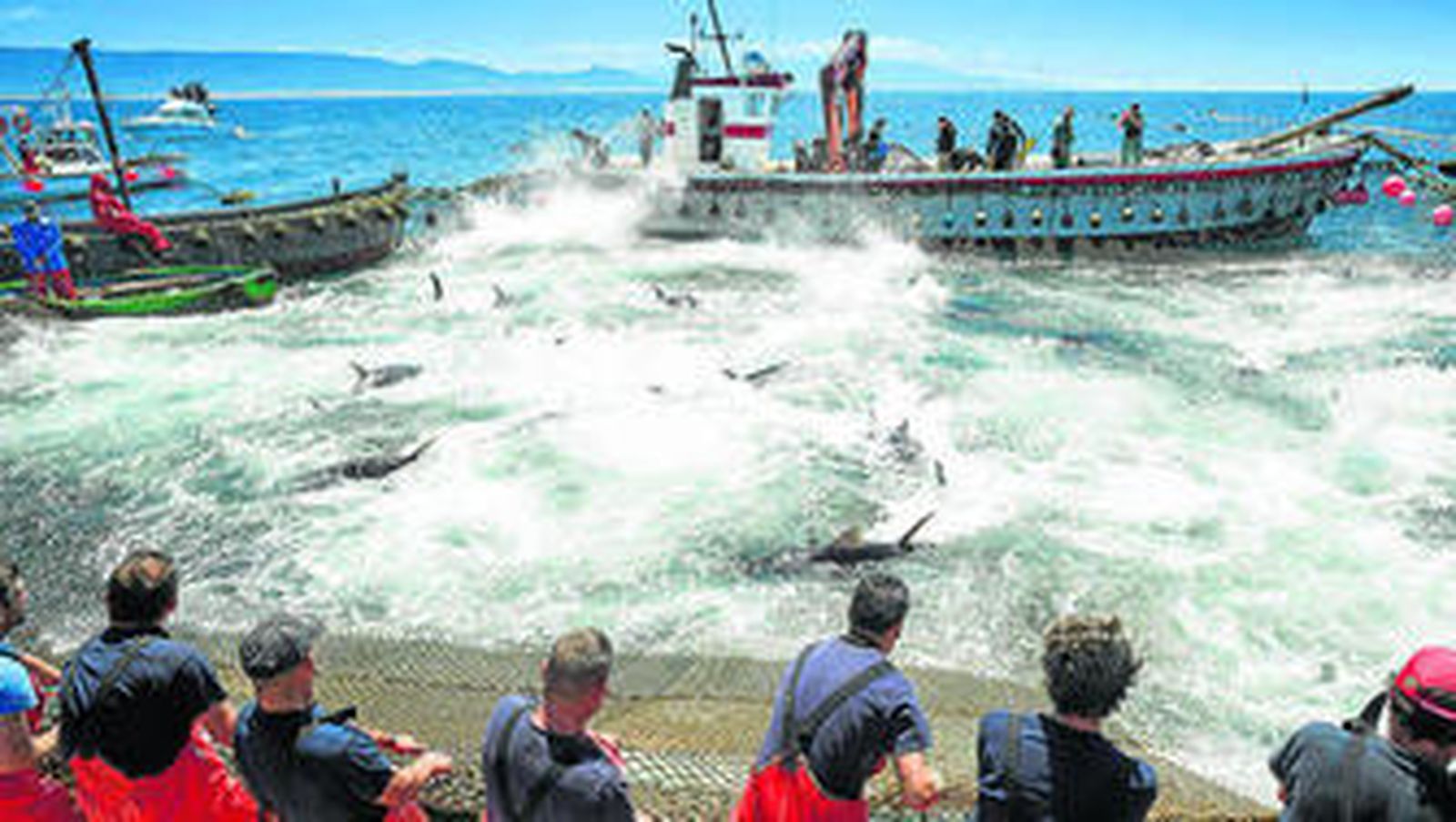 Almadraberos en una 'levantá' en Barbate, en imagen de archivo.