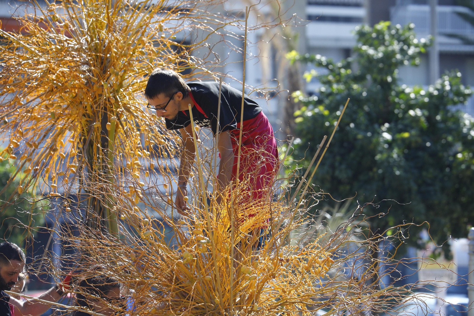 La Guerrilla de flores de Flora inunda el Paseo de la Victoria, en imágenes
