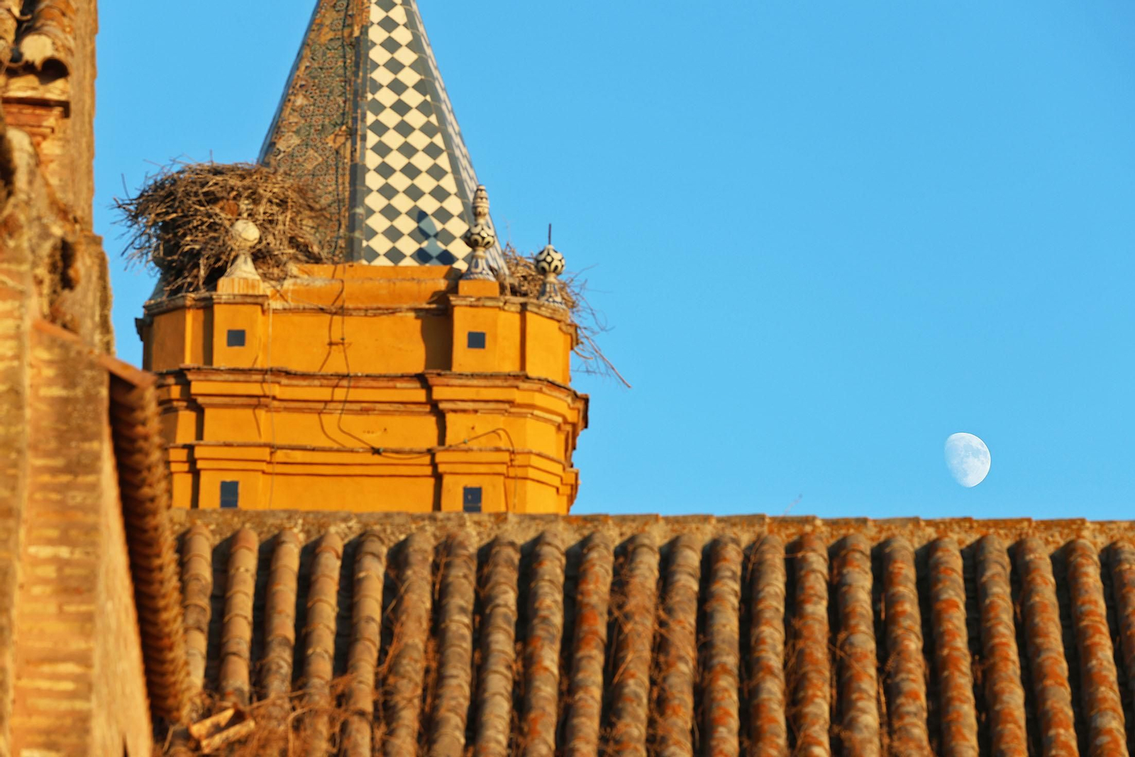 Imágenes de la procesión de Nuestra Señora de los Milagros en Palos de la Frontera Imágenes de la procesión de Nuestra Señora de los Milagros en Palos de la Frontera