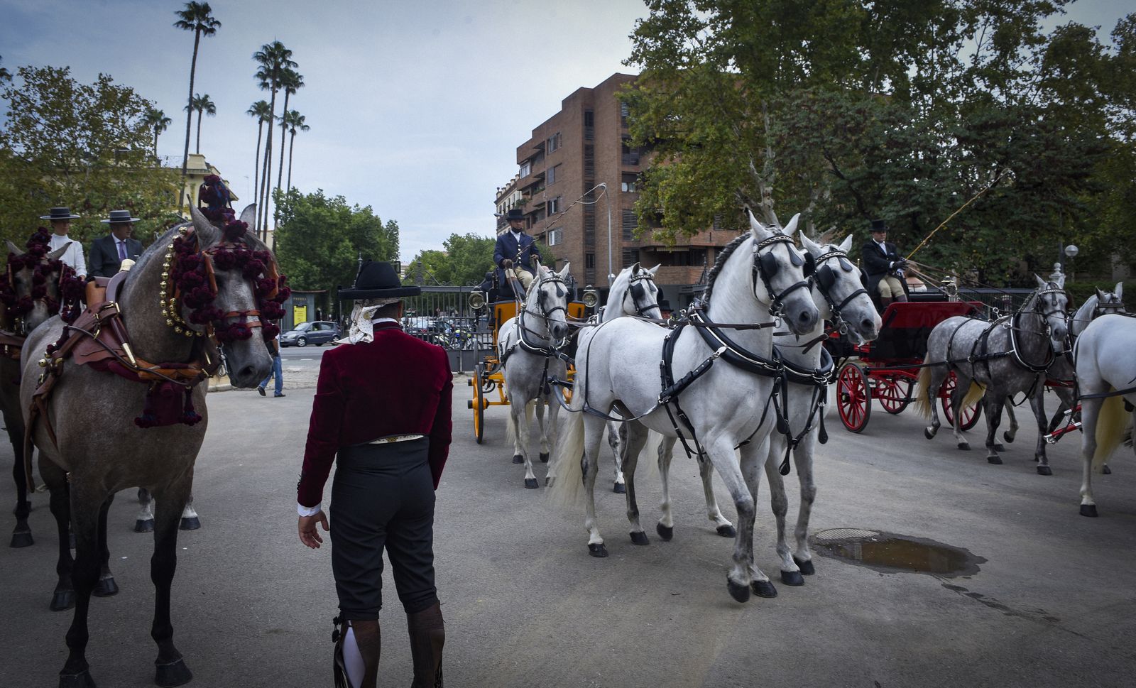 Exhibición de enganches y paseo de carruajes por el parque de María Luisa