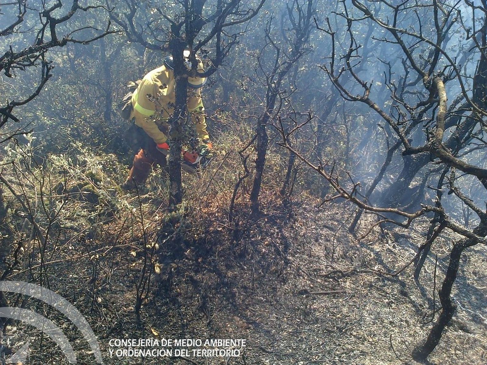 Los agentes del Infoca intervienen en el fuego que se extinguió el lunes.