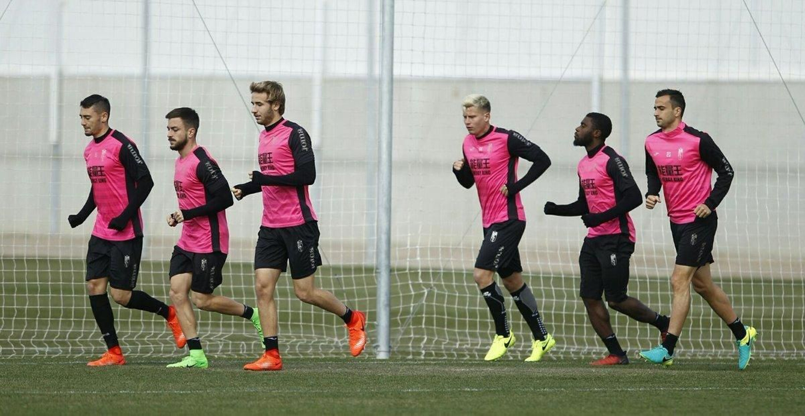 Tabanou, Boga y Saunier trotaron ayer sobre el césped.