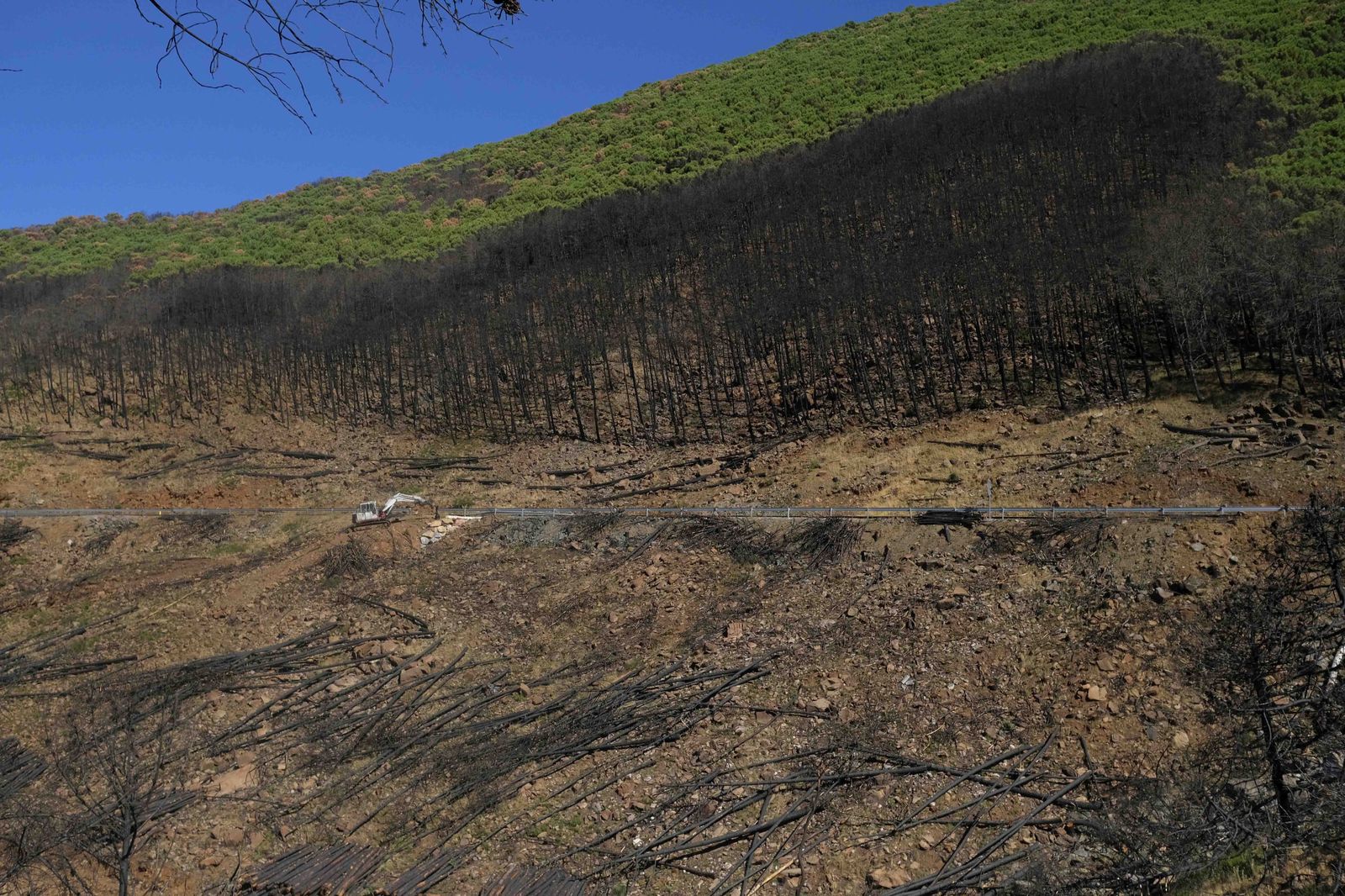 Un año del gran incendio de Sierra Bermeja, en fotos.