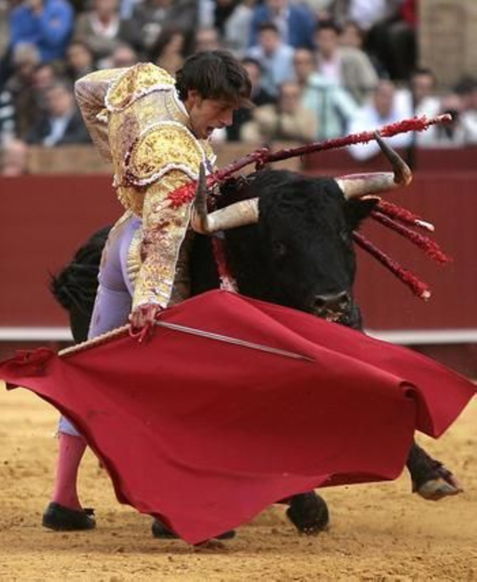 Antonio Nazaré, con el quinto toro, con el que sufrió una cogida en la pantorrilla derecha.

Foto: Juan Carlos Muñoz