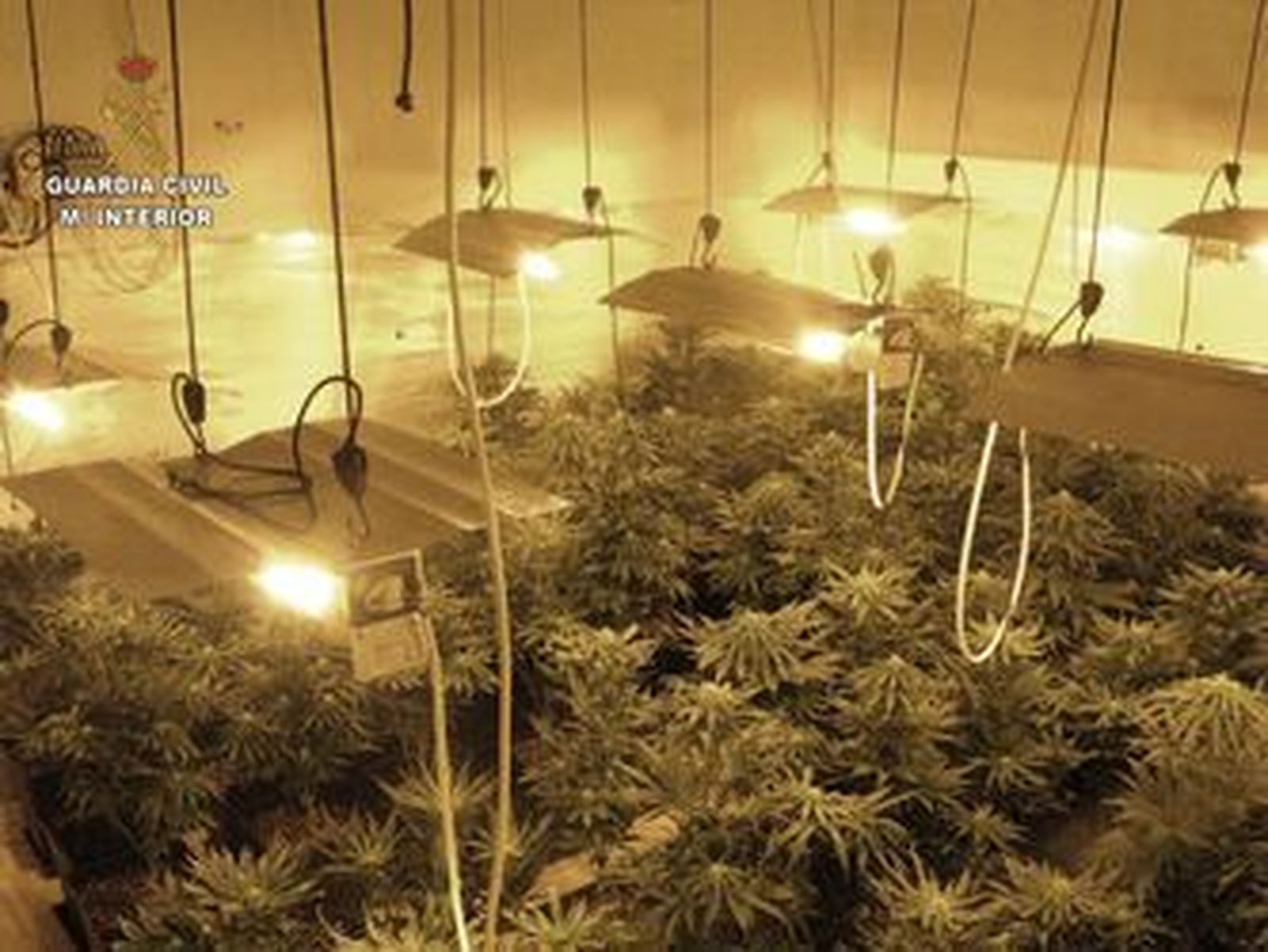 Imagen de archivo de un centro de producción de marihuana