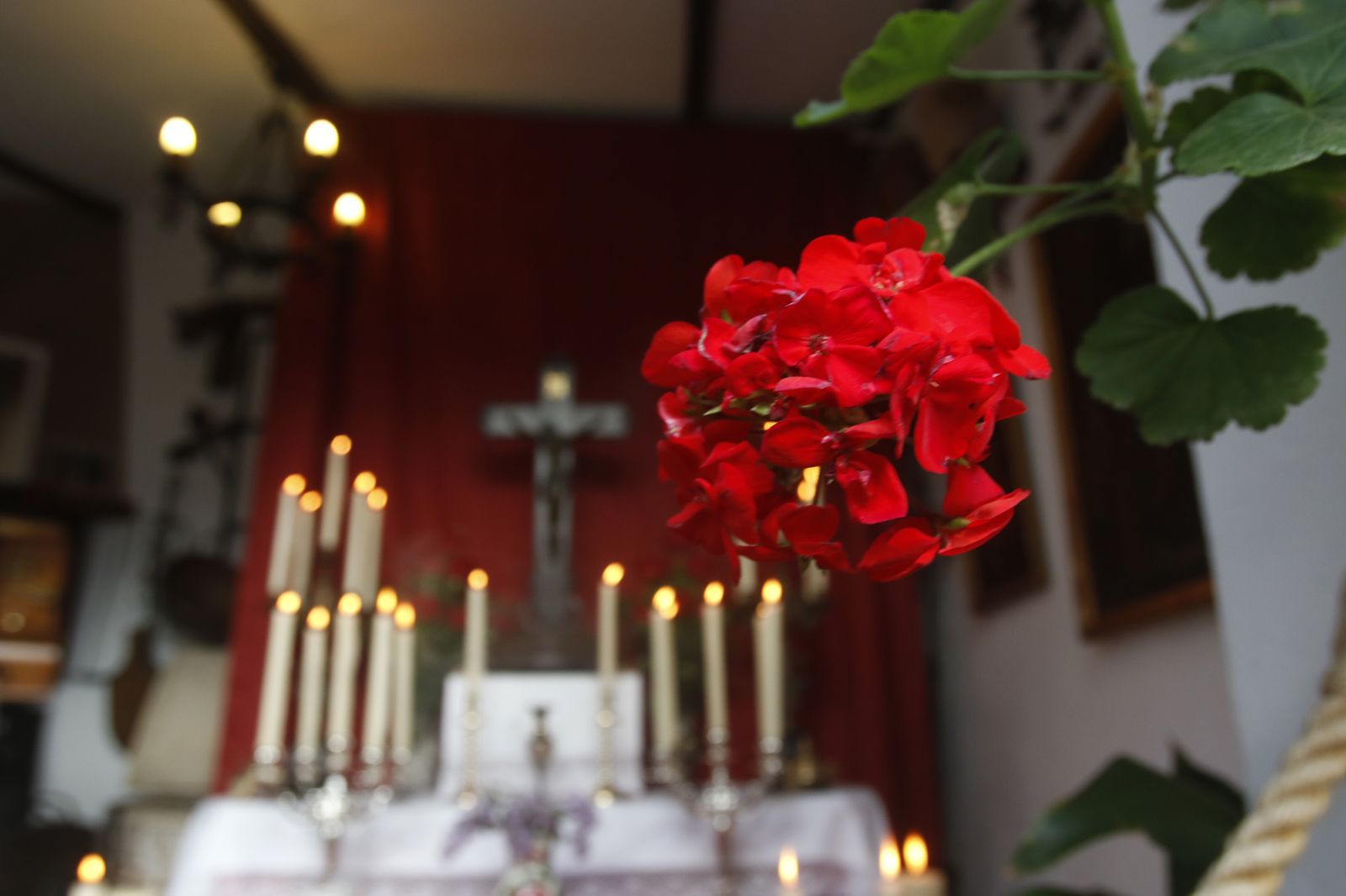 Patio de Guzmanas, 7.