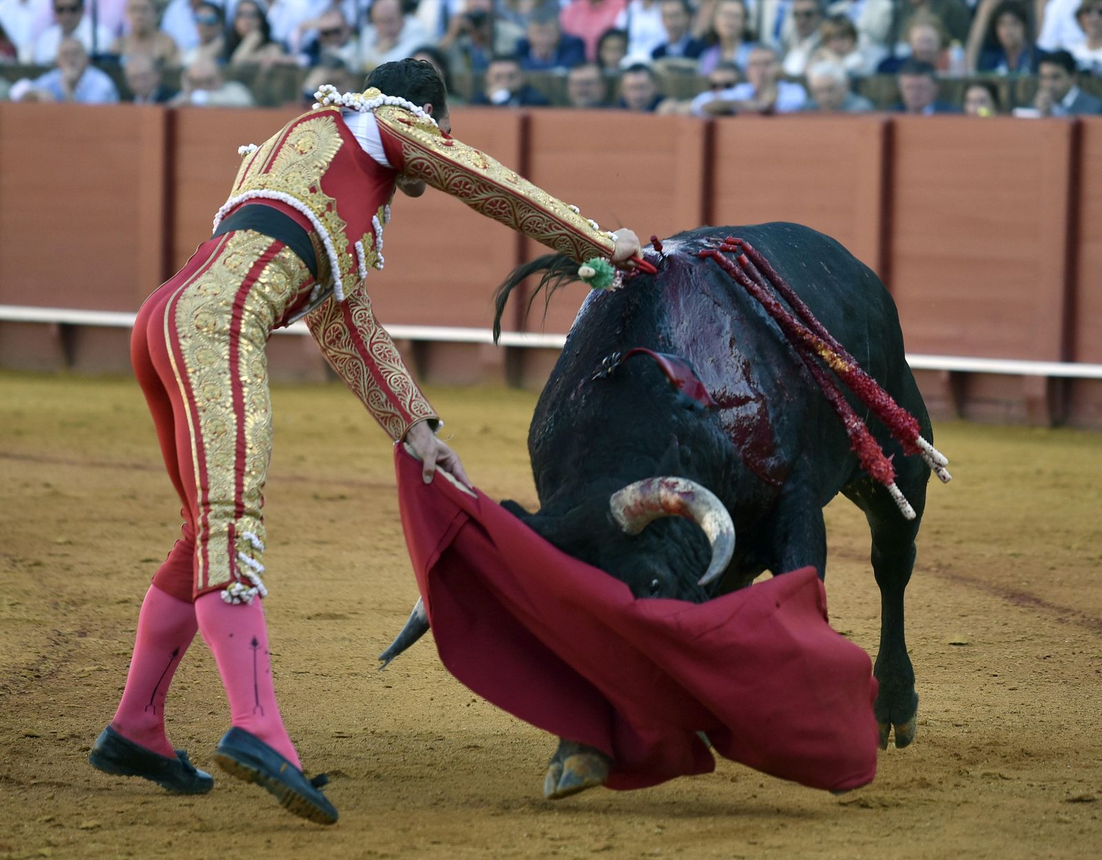 La 14ª de abono en la Real Maestranza de Sevilla, en imágenes