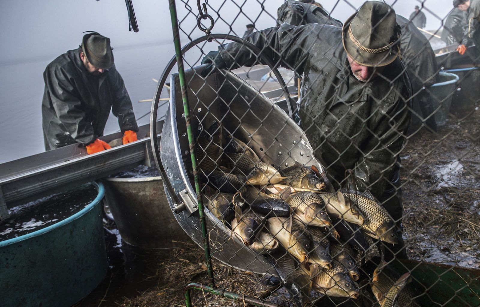 Actividad en un barco pesquero.
