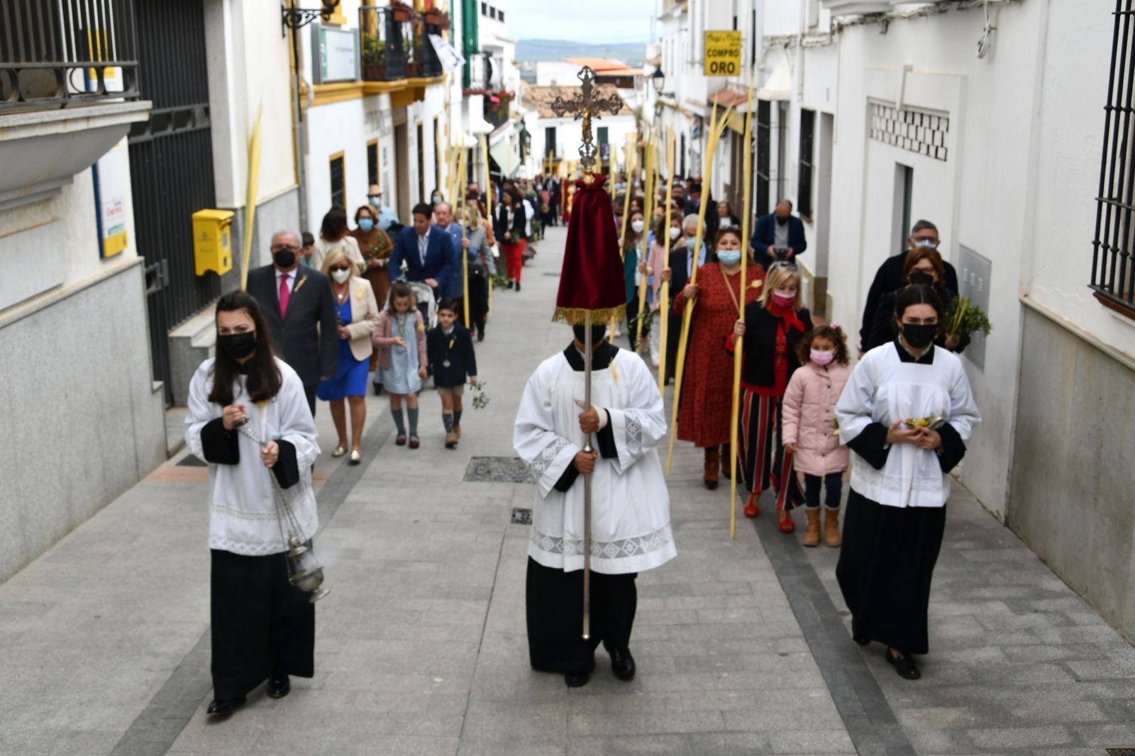 Las fotos del domingo de palmas y olivos en San Roque