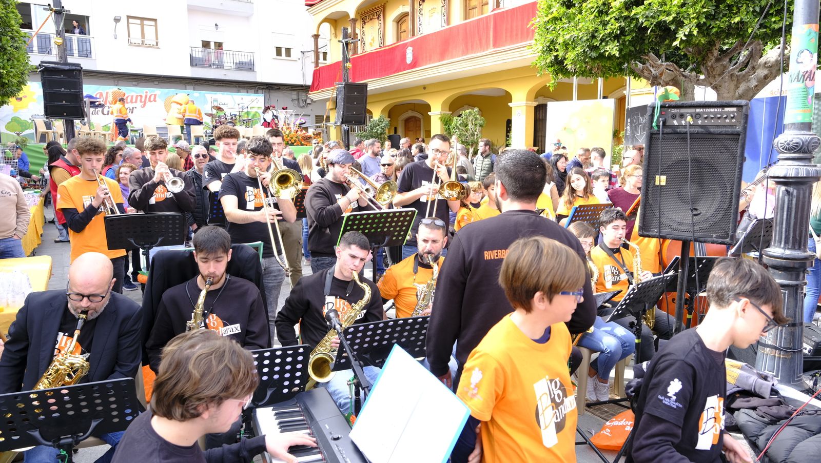 El Día de la Naranja en Gádor, en imágenes