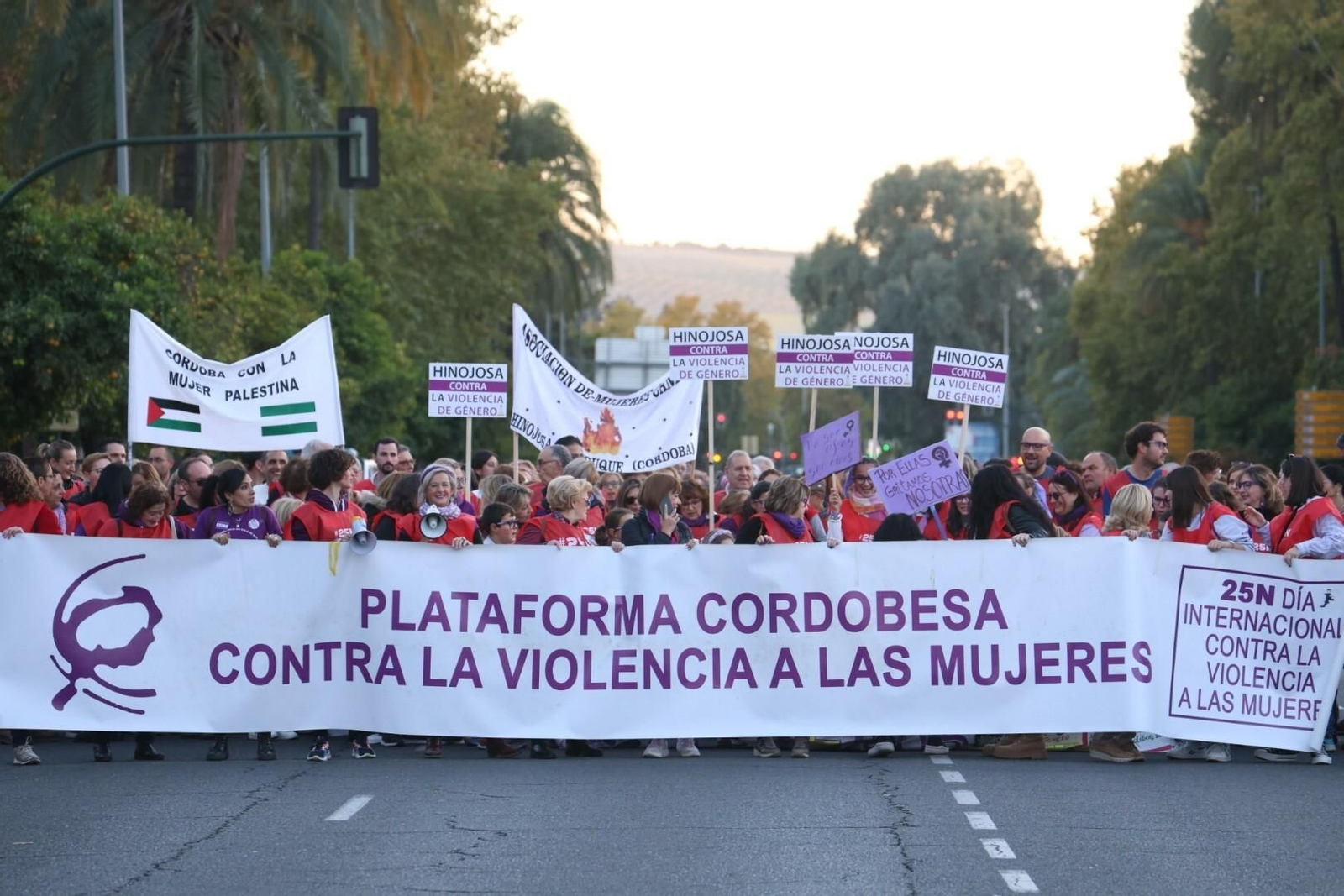 La manifestación del 25N en Córdoba, en imágenes