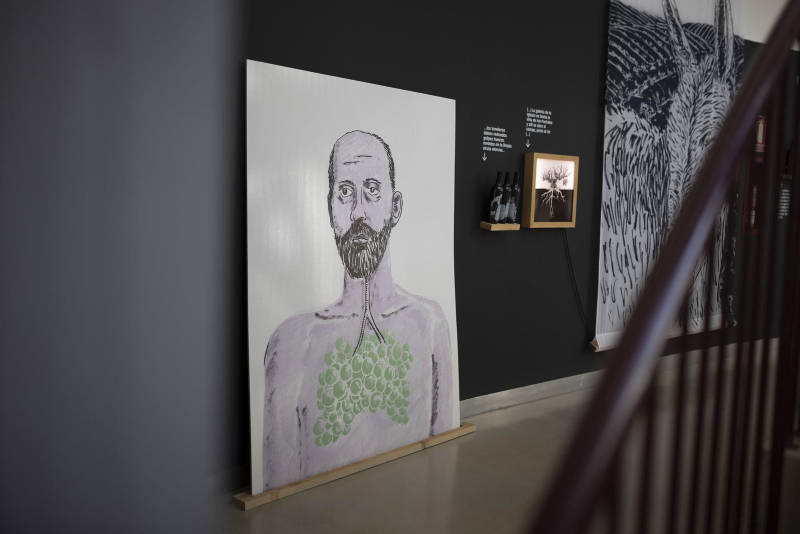 Imágenes de la vendimia en el Condado de Huelva