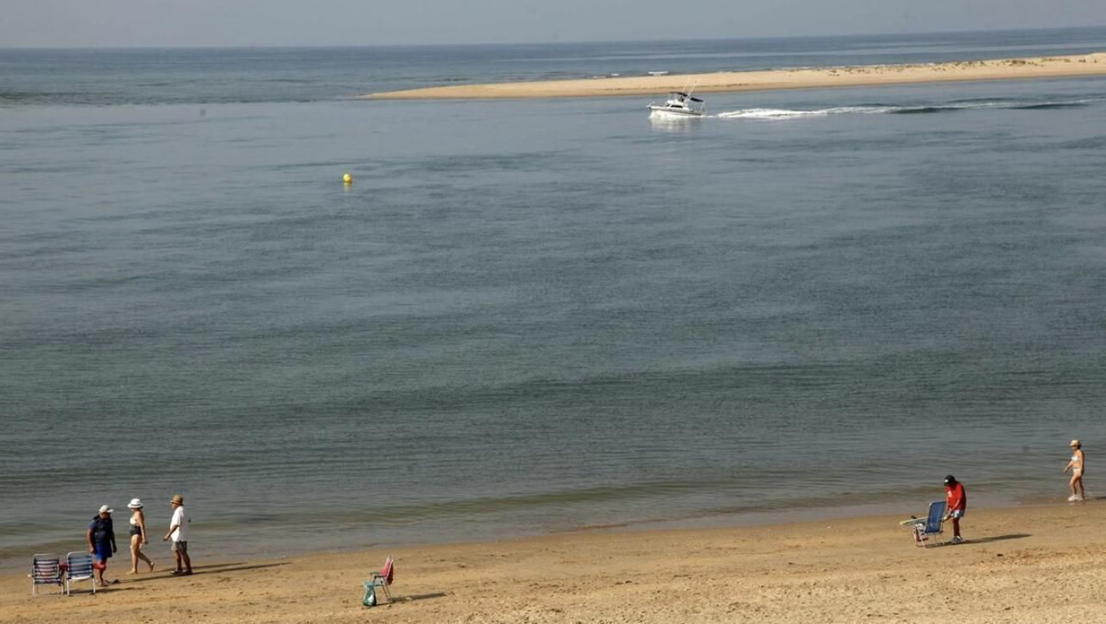 Pinos y Enebros se funden en la playa de Nuevo Portil (Cartaya)