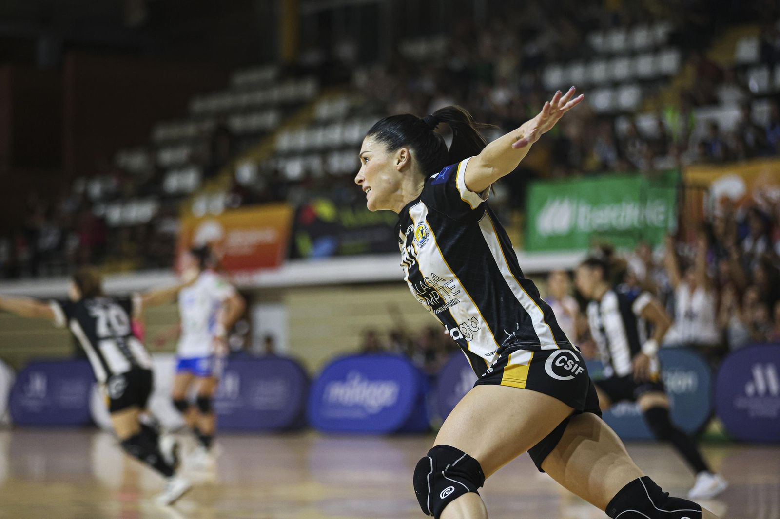 Costa del Sol-Caja Rural Aula Valladolid: Una lección de pundonor (33-29)