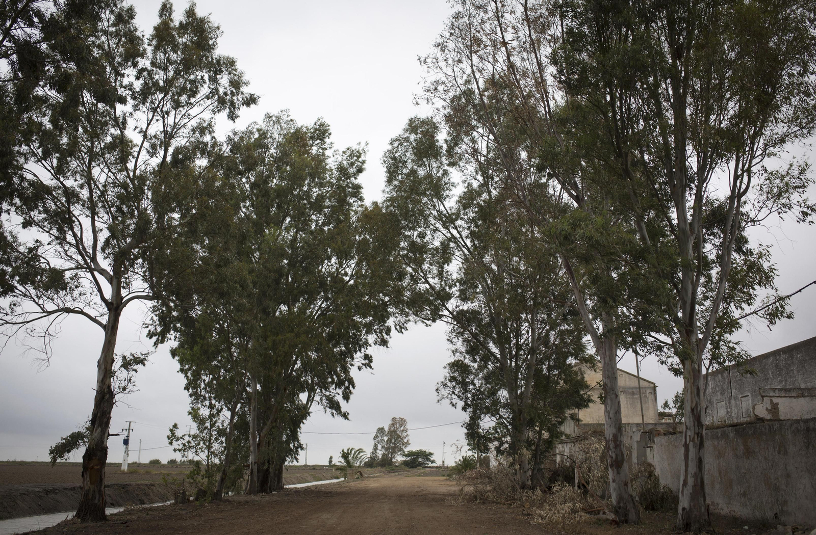 Marismas del Guadalquivir, un paisaje de cine