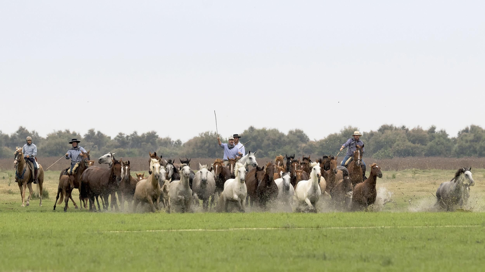 La tradicional y ancestral 'Saca de las  Yeguas', en imágenes