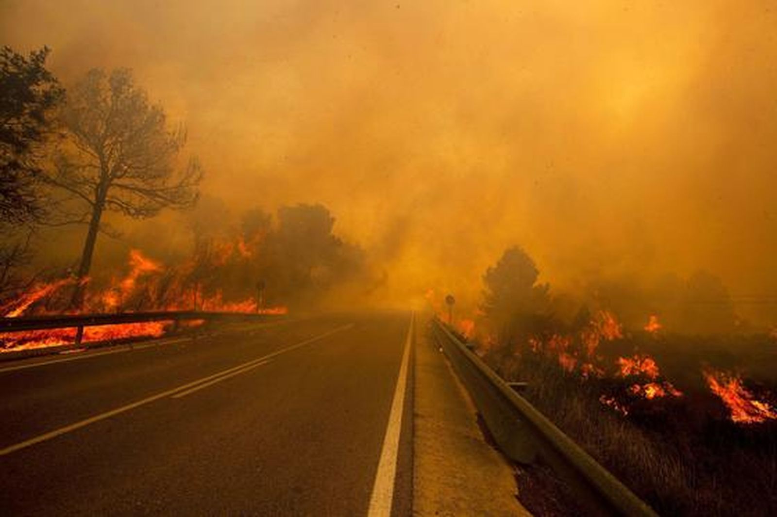 El fuego arrasa miles de hectáreas en comarcas del interior de la provincia de Valencia.

Foto: AFP