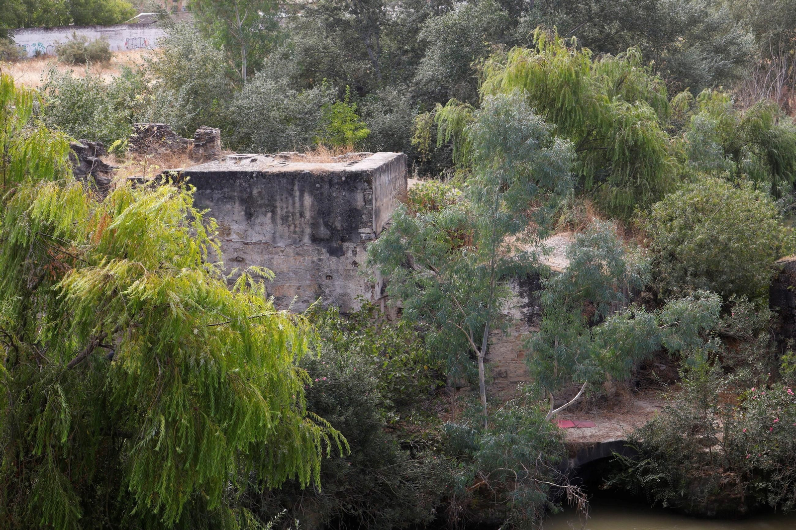 Las imágenes de los Molinos de Córdoba en el río Guadalquivir