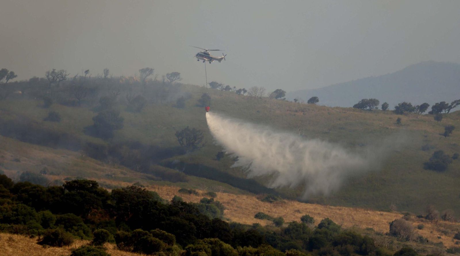 Las fotos del incendio forestal entre las Pantallas y Marchenilla, en Algeciras