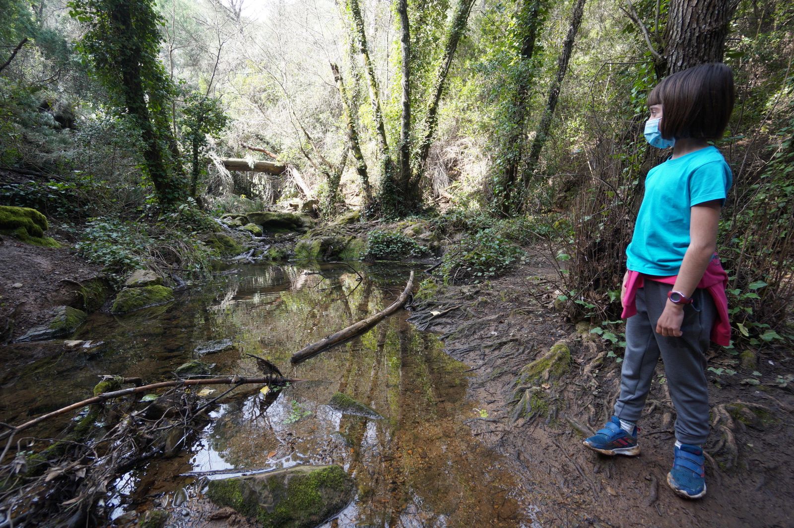 Una ruta por los Baños de Popea en Córdoba, en fotografías