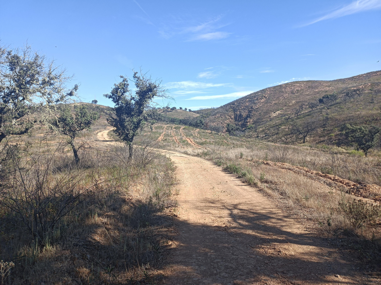 El camino a Juan Antón tiene menos vegetación y va en leve ascenso.