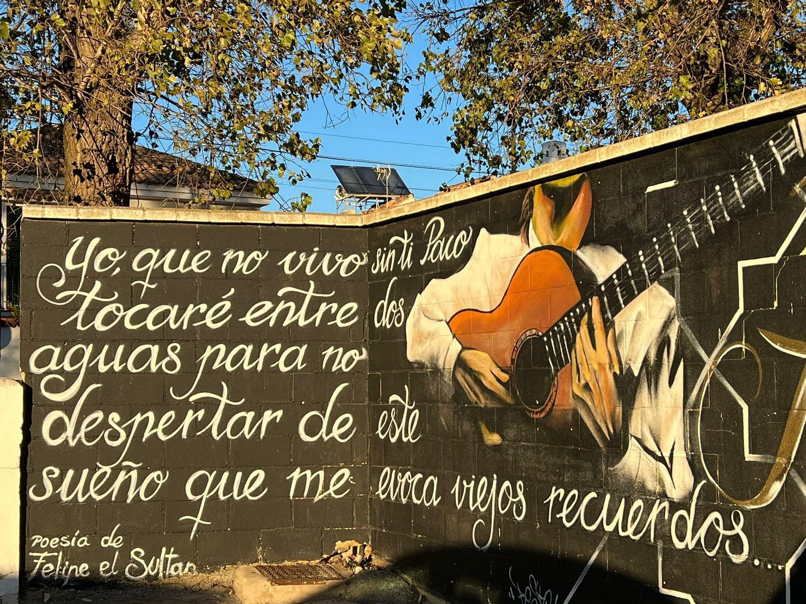 Grafitis, el arte callejero que se esconde en las calles de Algeciras