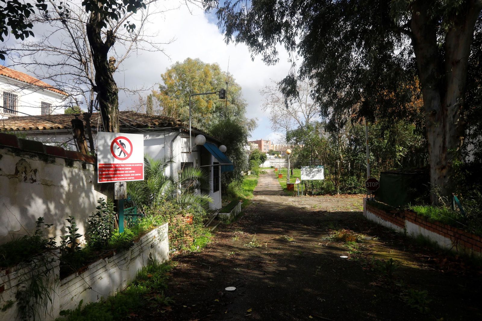 Así está el camping municipal de Córdoba