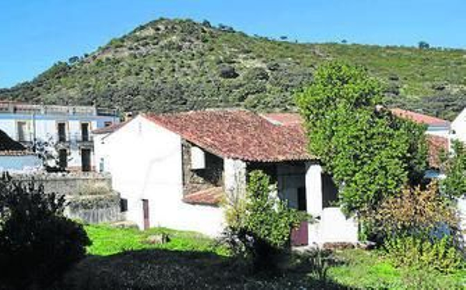 Fotografías con muchas migas