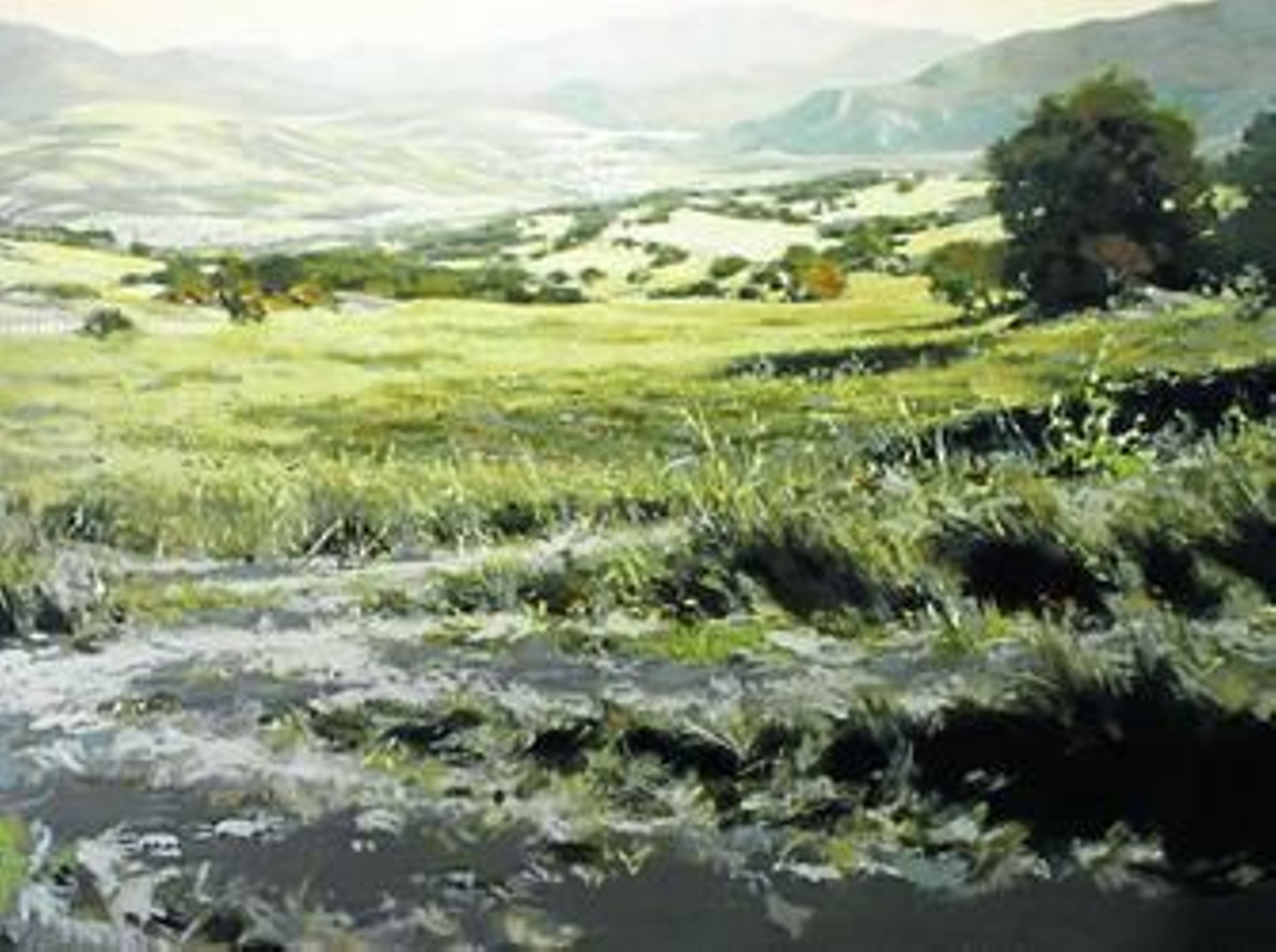 Paisaje de la sierra de Cádiz.