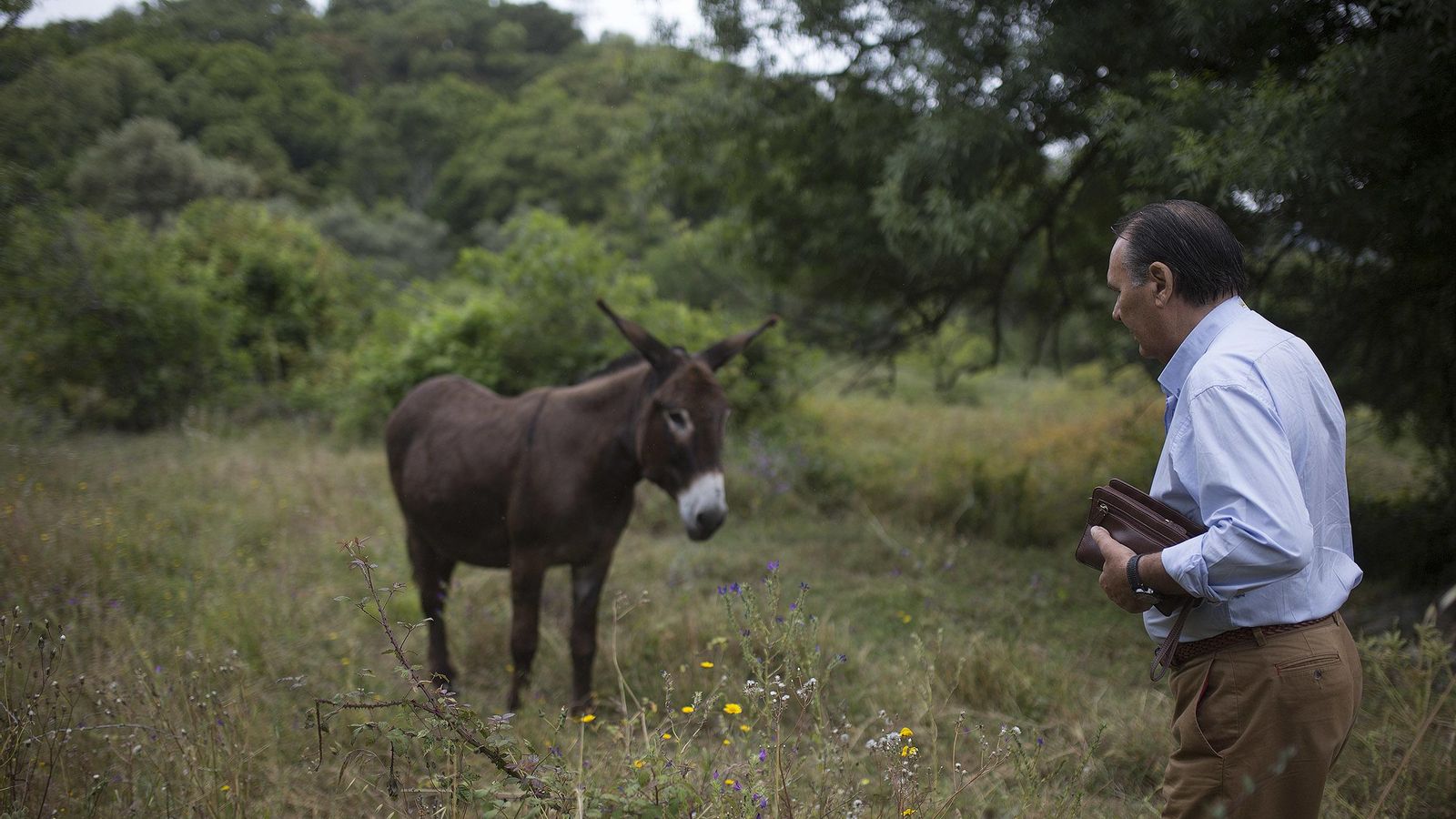 Estado actual de la finca de Almonaster