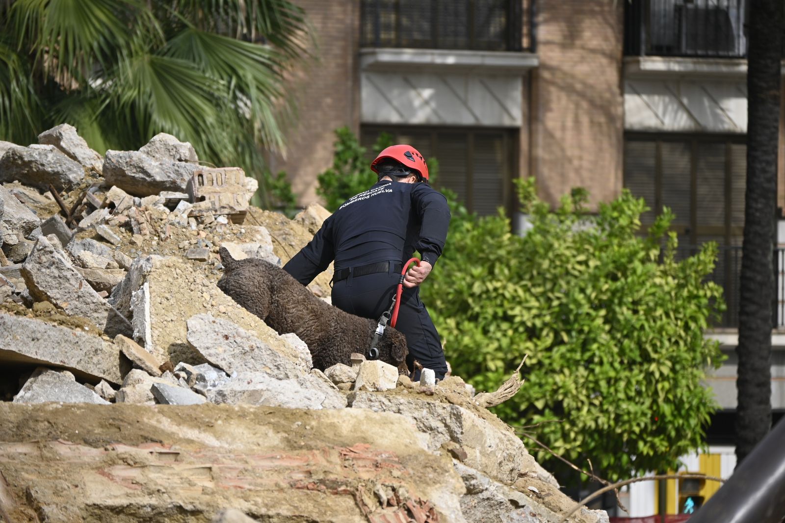 Simulacro de rescate de la Unidad Canina, en la Plaza de la Merced