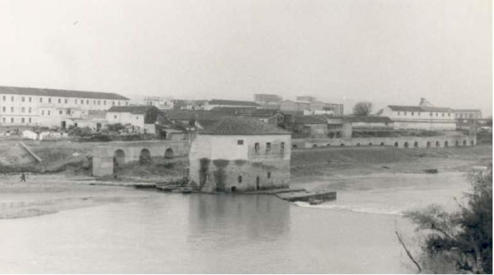 Historia de los molinos del Guadalquivir cordobés en fotografías