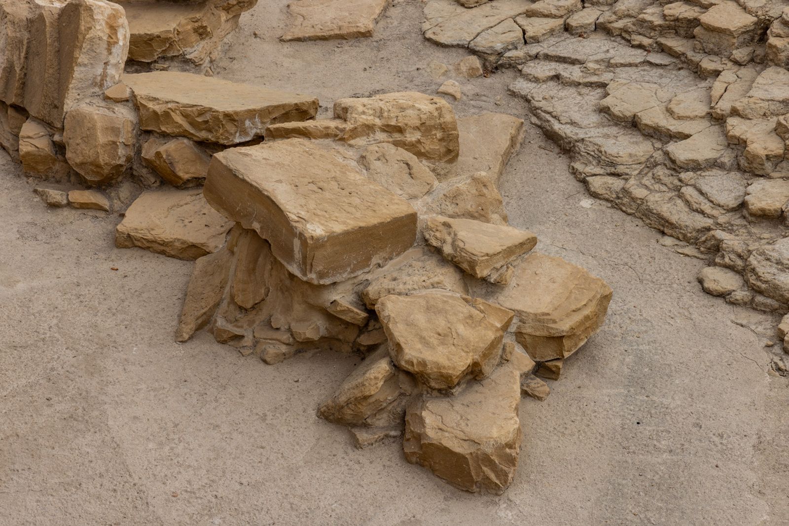 Inauguración del anfiteatro romano de Obulco, en Porcuna