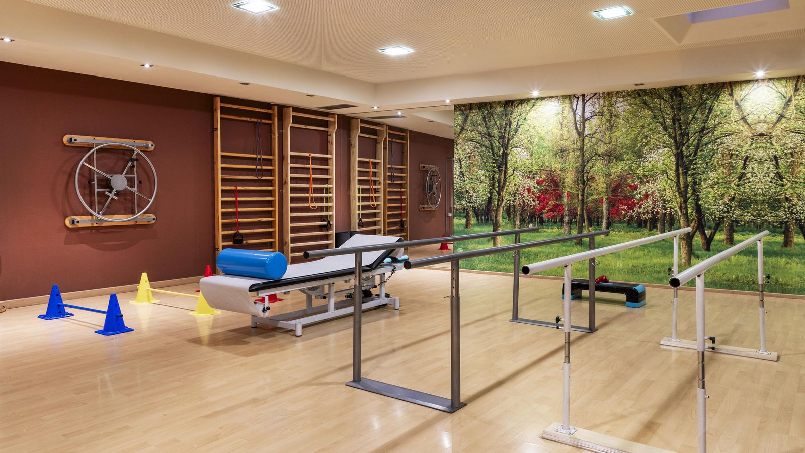 Espacios diseñados para el mejor tratamiento.