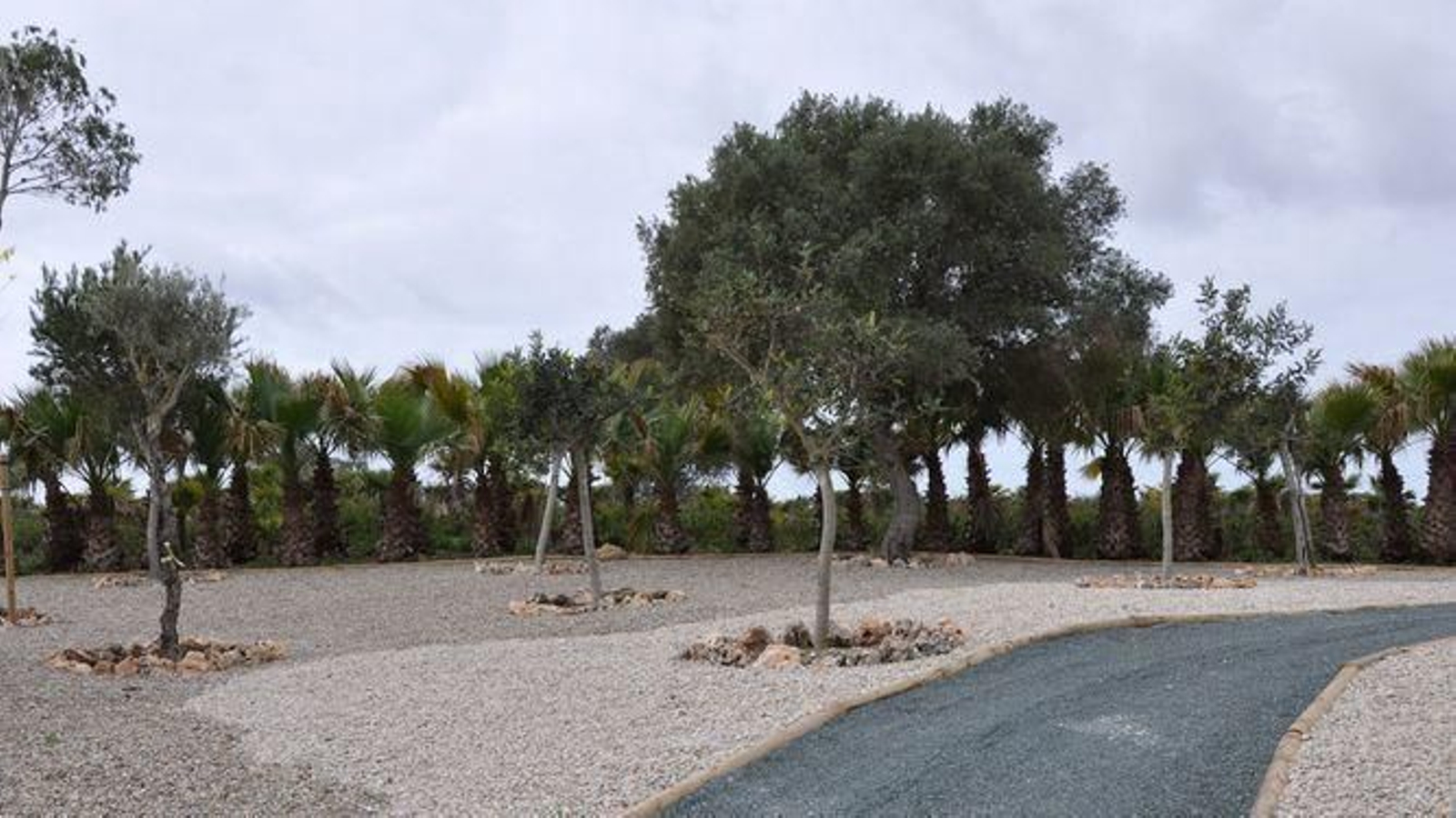 Imagen del Bosque de los Recuerdos, lugar habilitado en el cementerio de Chiclana para las cenizas de los difuntos.