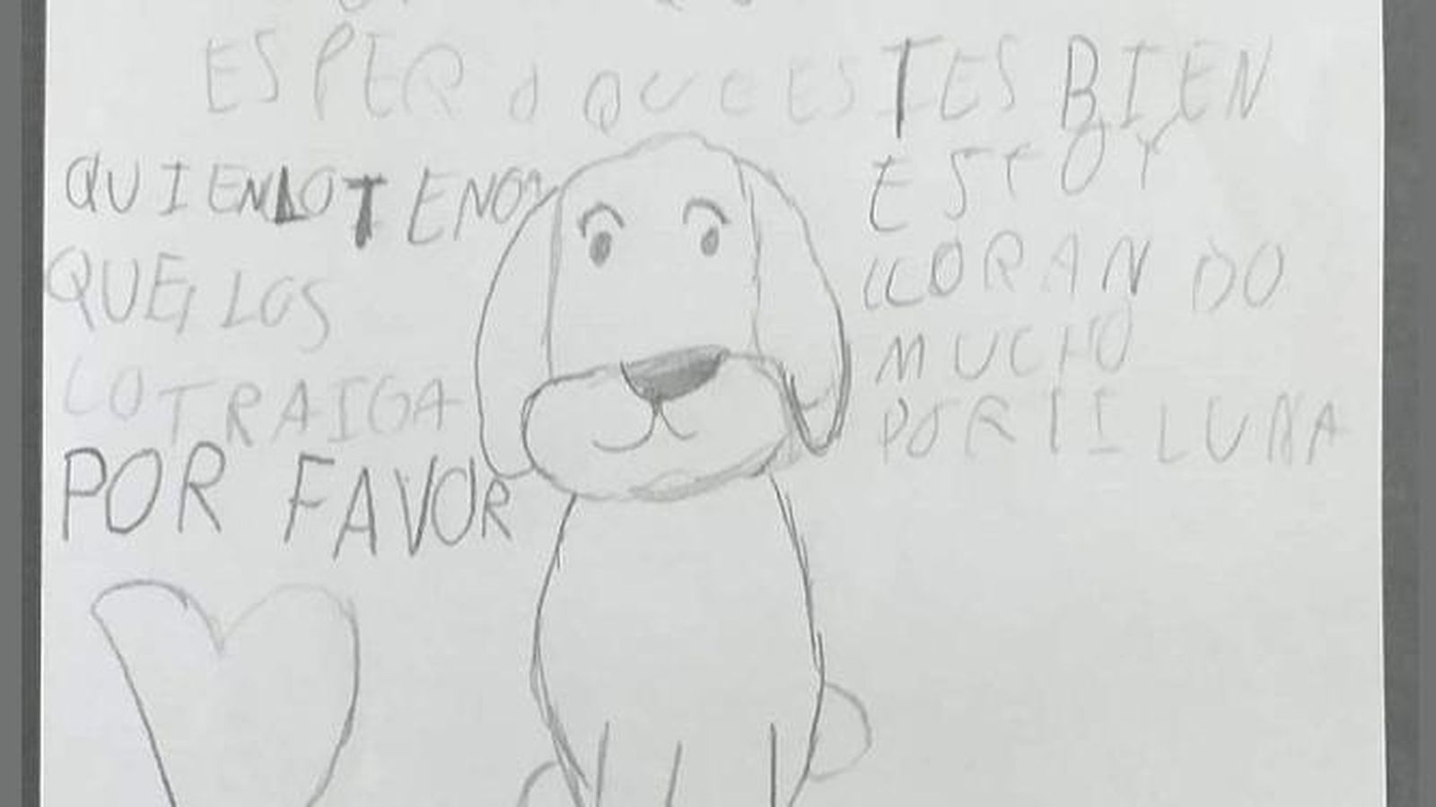 Un detalle del cartel con el que buscan a Luna