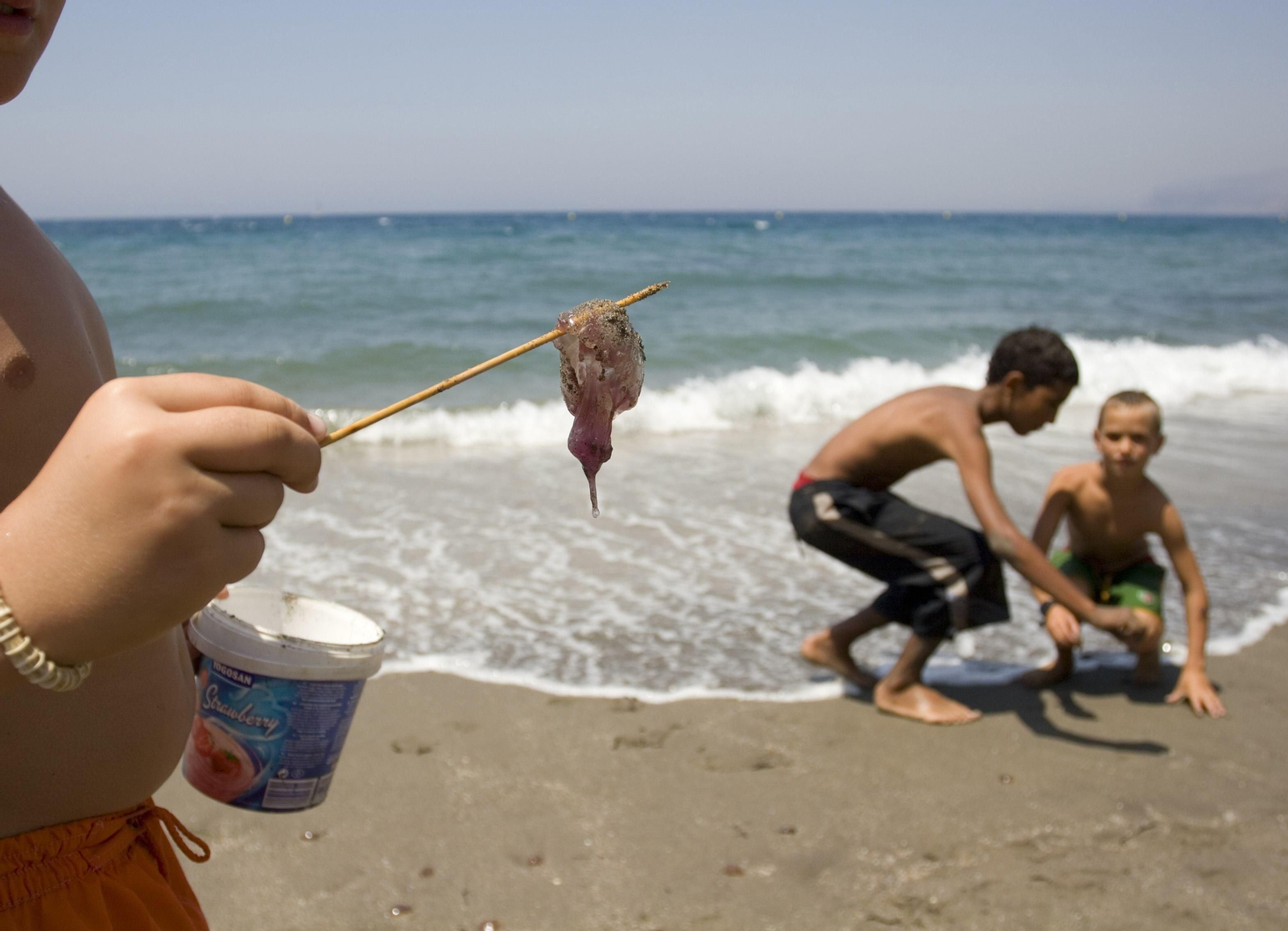 Las picaduras de medusa en los niños son más perjudiciales que en los adultos.