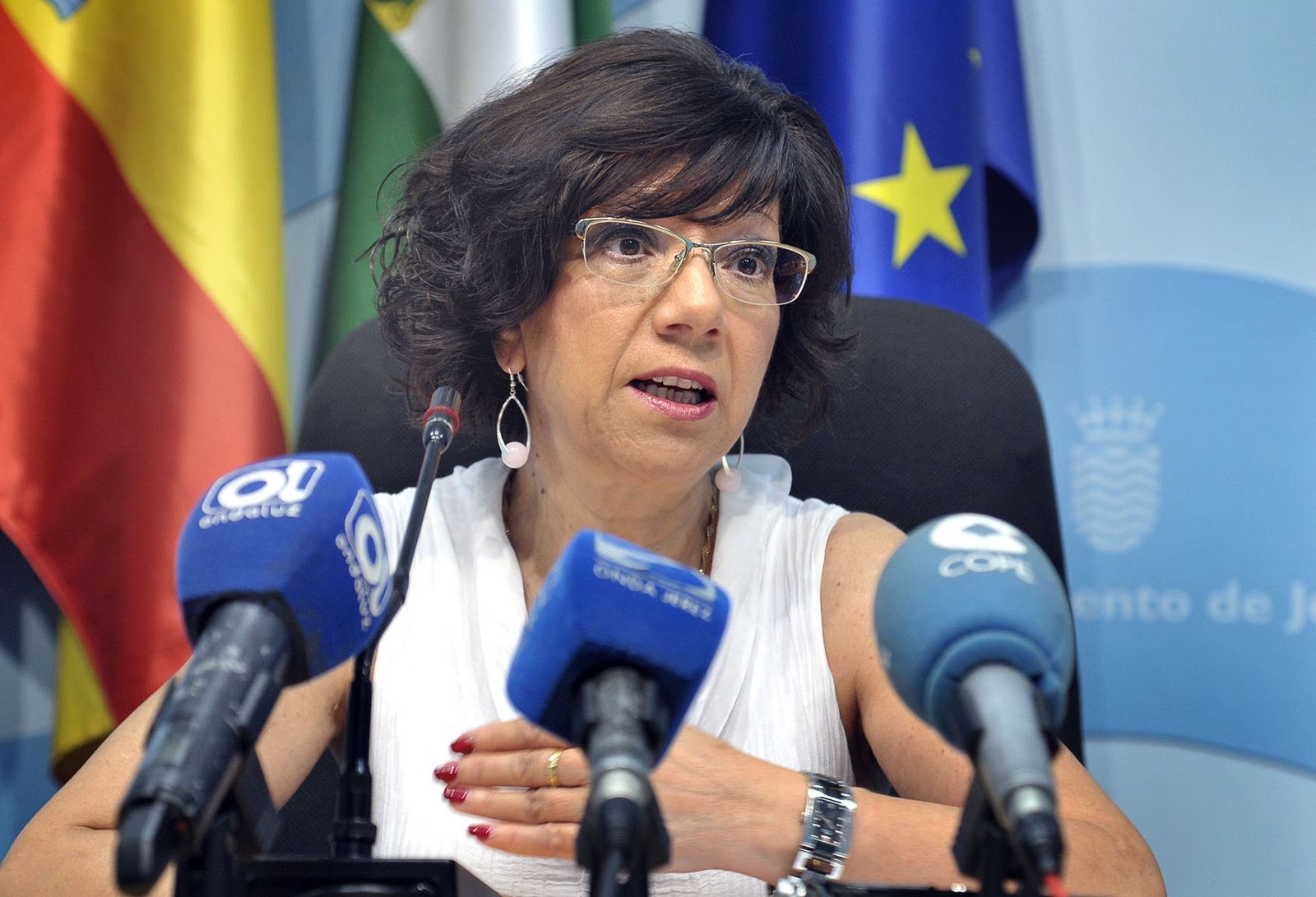 La teniente de alcaldesa Carmen Collado, durante una comparecencia.