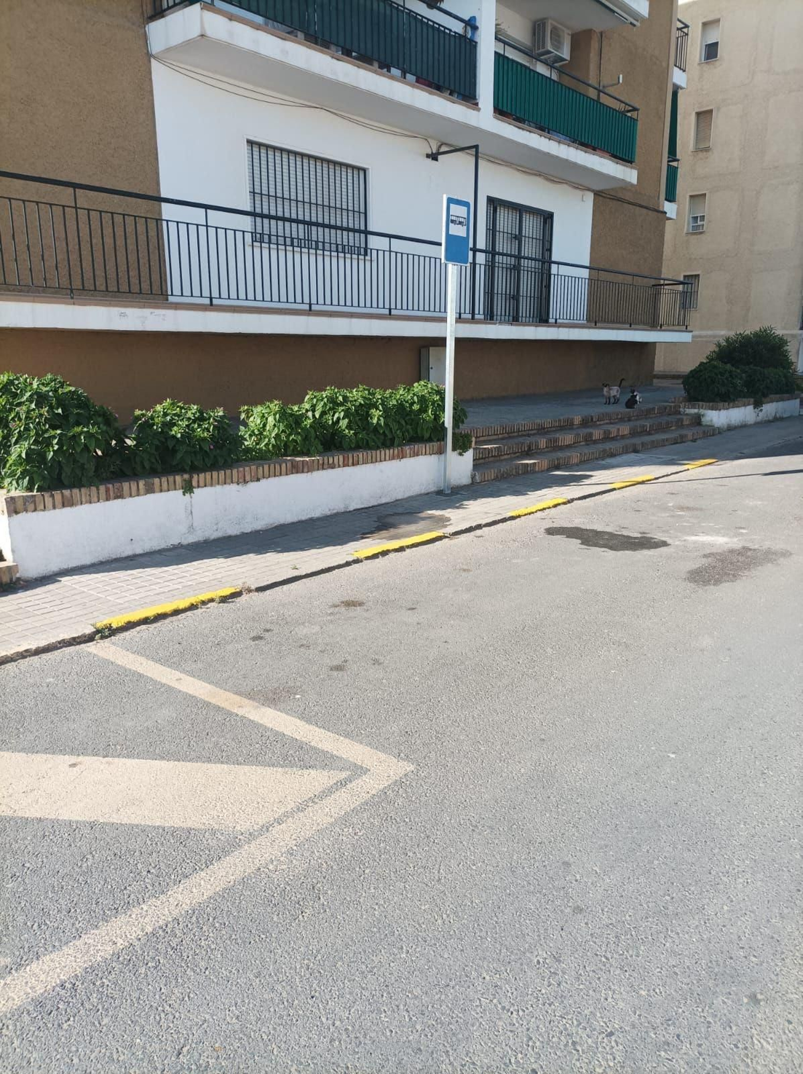 Parada del Puntabús.