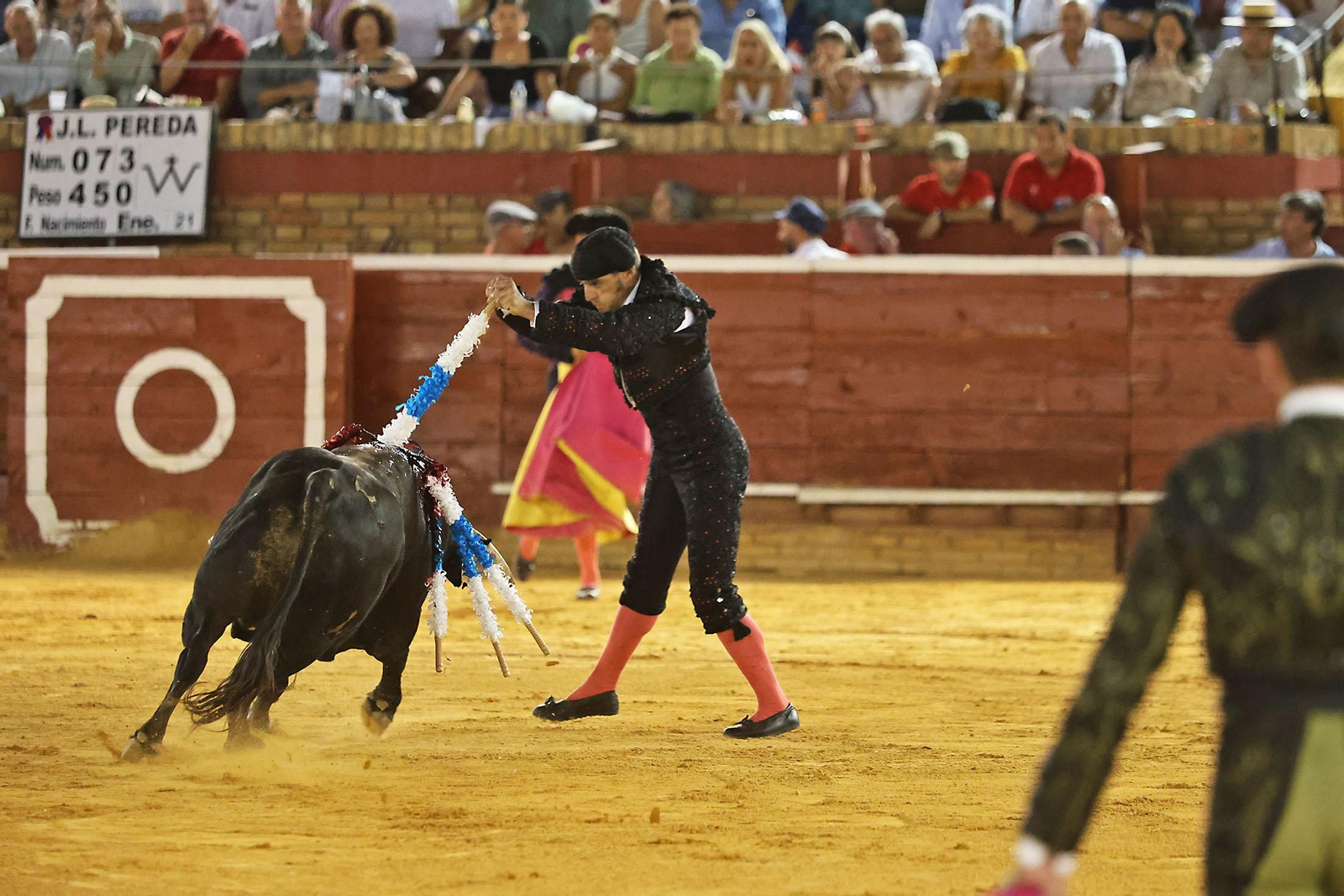 Toros La Merced 2024 Novillada con picadores(